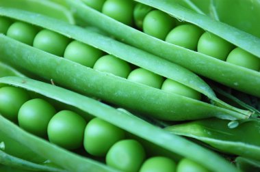 Yeşil elmanın yarısı onların açılan