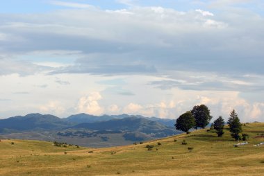 Durmitor Milli Parkı, Karadağ