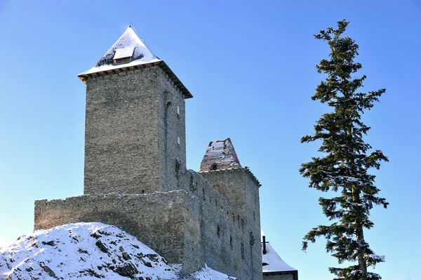 Burg Kasperk, Böhmerwald — Stockfoto