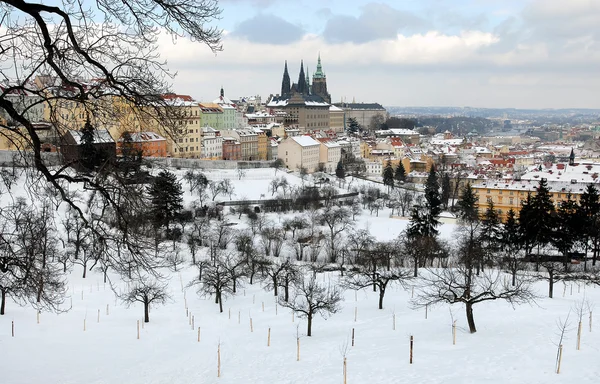 Prager Burg im Winter — Stockfoto
