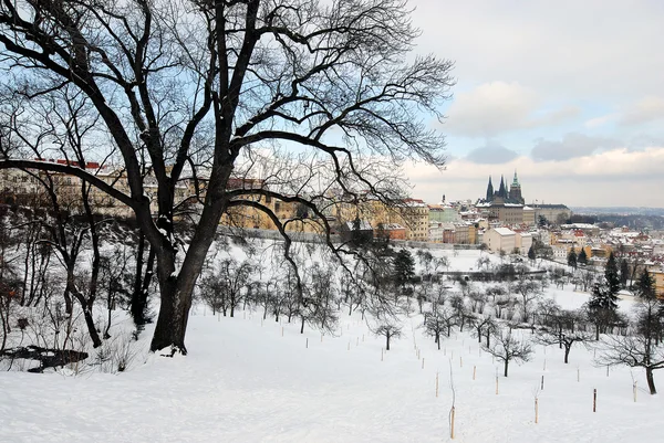 Castillo Praga Invierno Ciudad Bajo Nieve — Foto de Stock