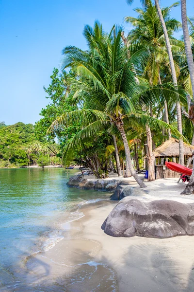 Playa tropical con palma de coco — Foto de Stock