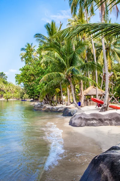 Playa tropical con palmeras de coco — Foto de Stock