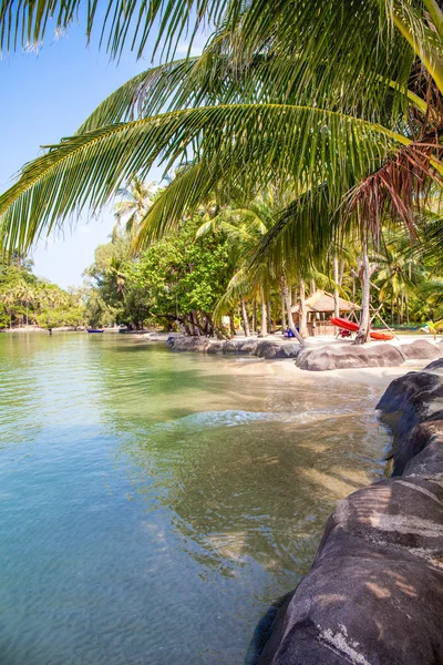 Playa tropical con palma de coco — Foto de Stock