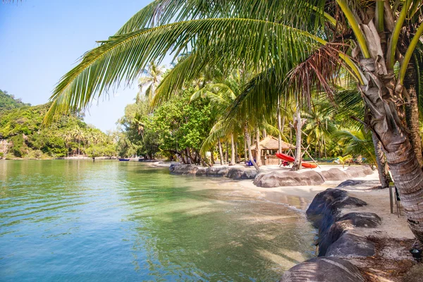 Playa tropical con palma de coco — Foto de Stock