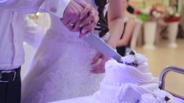 Detay düğün pastası kesme tarafından yeni evliler — Stok video