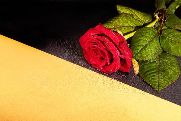 Ein Strauß Rosen Für Die Feiertage Frauentag Valentinstag Namenstag Auf — Stockfoto