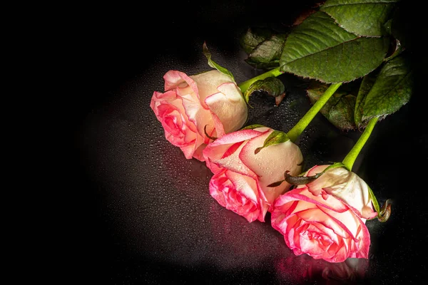 Ein Strauß Rosen Für Die Feiertage Frauentag Valentinstag Namenstag Auf — Stockfoto