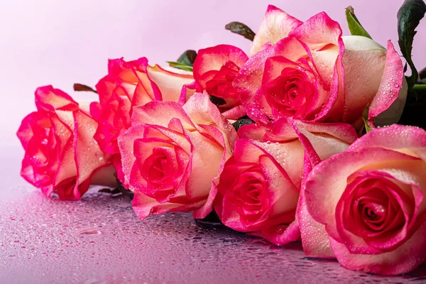 假日用的一束玫瑰花 儿童节 情人节 命名日 粉色背景 有倒影 复制空间 — 图库照片
