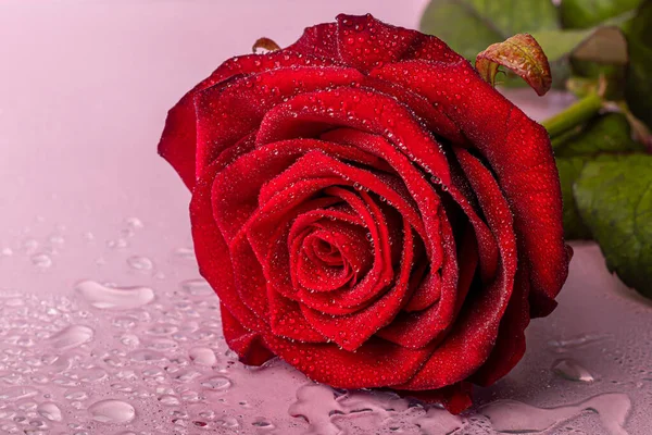 Ein Strauß Rosen Für Die Feiertage Frauentag Valentinstag Namenstag Auf — Stockfoto