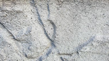 Eski beton duvar, doğal doku. Açık gölgeler arka plan. Seçici odaklanma. Ön görünüm.