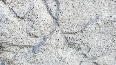 Eski beton duvar, doğal doku. Açık gölgeler arka plan. Seçici odaklanma. Ön görünüm.