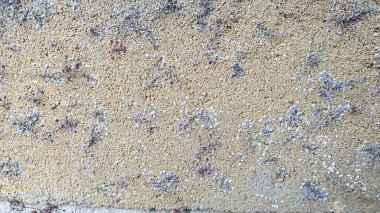 Eski beton duvar, doğal doku. Açık gölgeler arka plan. Seçici odaklanma. Ön görünüm.