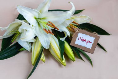 Hafif arka planda bir buket zambak. Anneler Günü, Kadınlar Günü, Sevgililer Günü ya da Doğum Günü. Boşluğu kopyala.