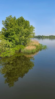 Nehirdeki doğa ve boş kumsal. Yaz sezonuna hazırlanıyorum. Sudaki ağaçların yansıması. Boşluğu kopyala.