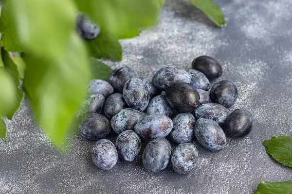 Plommon på en ljus bakgrund. Skördar höstskörden. Göra sylt och sås. Stilleben. — Stockfoto