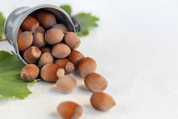 Hasselnötter Ljus Bakgrund Med Gröna Blad Innehåller Nyttiga Vitaminer Och — Stockfoto