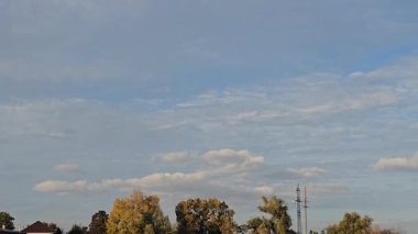 Mavi gökyüzüne karşı kayısı ağacının sarı yaprakları. Ilık sonbahar havası. Rüzgar dalları hışırdatır. Yaprak dökümü.