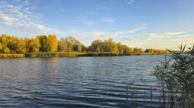 Ağaçlar ve bitkilerle çevrili derin bir nehir. Reed yatakları. Sudaki tekneler. Sıcak tonlarda sonbahar manzarası.
