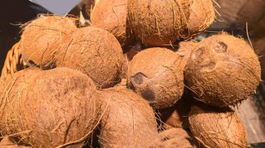 Bir süpermarkette raflarda satılmaya hazır hindistan cevizleri var. Hindistan cevizlerini göster ve sat.