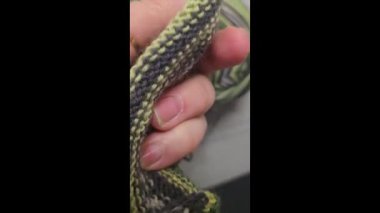 Ev dekorasyonu, moda ya da tekstil için uygun renkli örgü kumaşı. Örgü dersleri. Yapay zeka öğrenmek için örgü kalıpları.