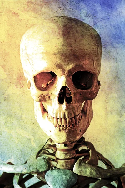 Peinture à l'huile ancienne d'un crâne humain — Photo