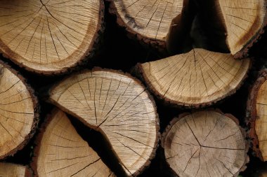 Düzenlenen günlükleri yakın çekim