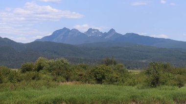 Kanada 'daki Cascadia Dağlarının Altın Kulak Sırtı