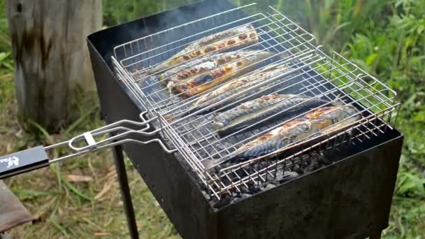 Cottura dello sgombro di pesce sui carboni — Video Stock