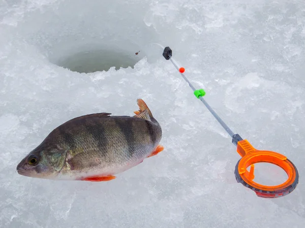 Pesca sul ghiaccio in Russia — Foto Stock