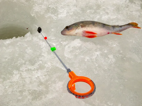 Pesca no gelo na Rússia — Fotografia de Stock