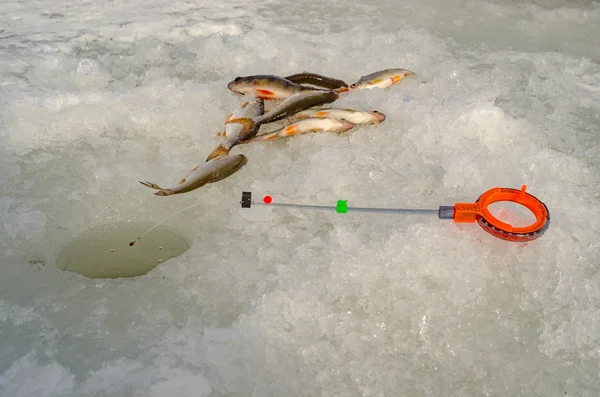 Pesca con hielo de primavera — Foto de Stock