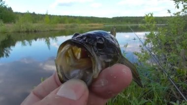 Balık tutarken yakalanmış.
