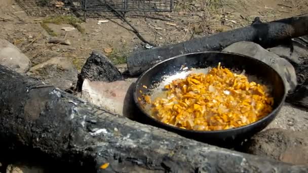 Fry the mushrooms over a campfire — Stock Video