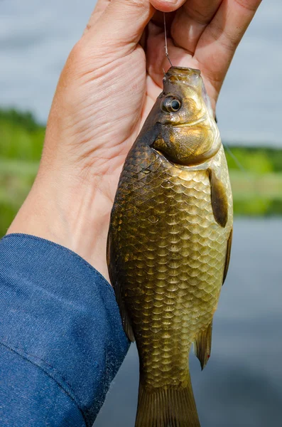 Karas en las manos — Foto de Stock