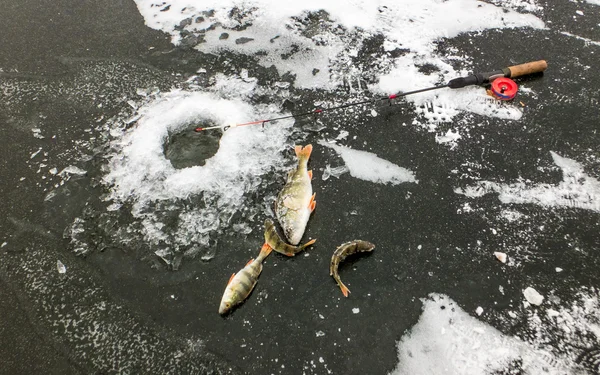 Pesca de invierno con hielo — Foto de Stock