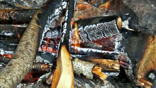 El fuego sobre la naturaleza — Vídeos de Stock