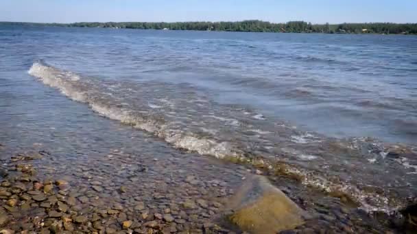 Las olas en el río — Vídeos de Stock