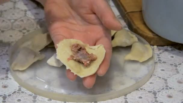 House pelmeni we prepare the hands — Stock Video