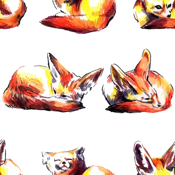 Seamless pattern with small sleeping foxes — Stock Photo, Image