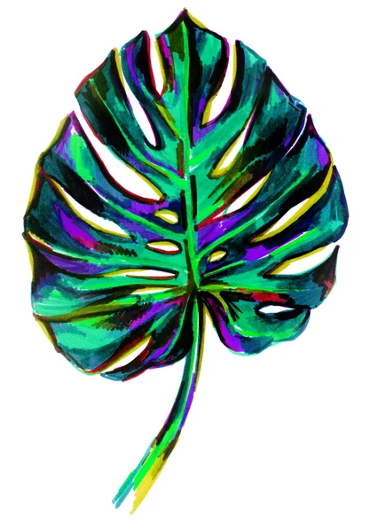 Yaprak tropikal bitki