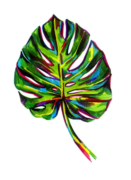 Листья тропических растений — стоковое фото