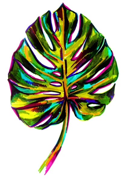 Yaprak tropikal bitki