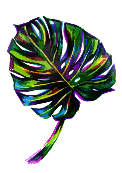 Yaprak tropikal bitki