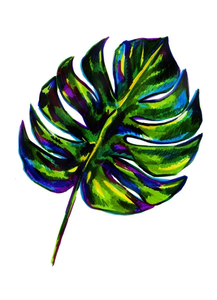 Yaprak tropikal bitki