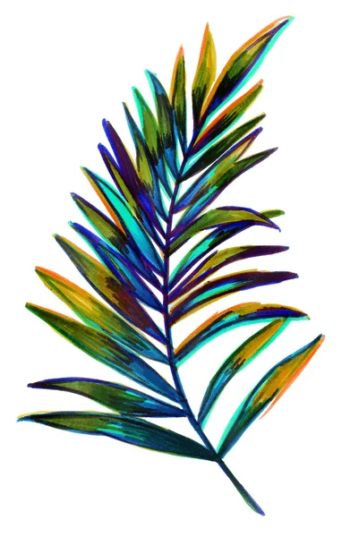 Yaprak tropikal bitki