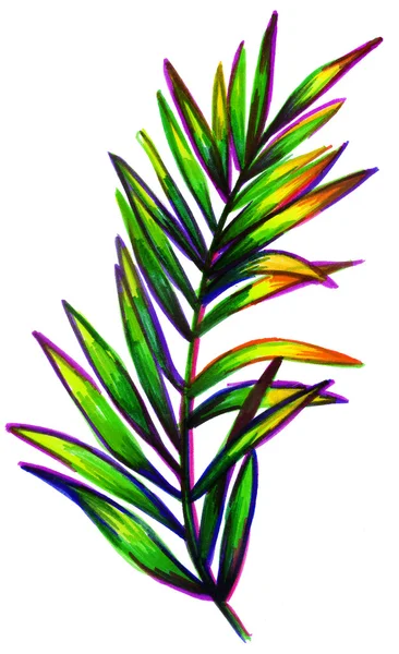 Yaprak tropikal bitki