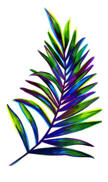 List tropické rostliny — Stock fotografie