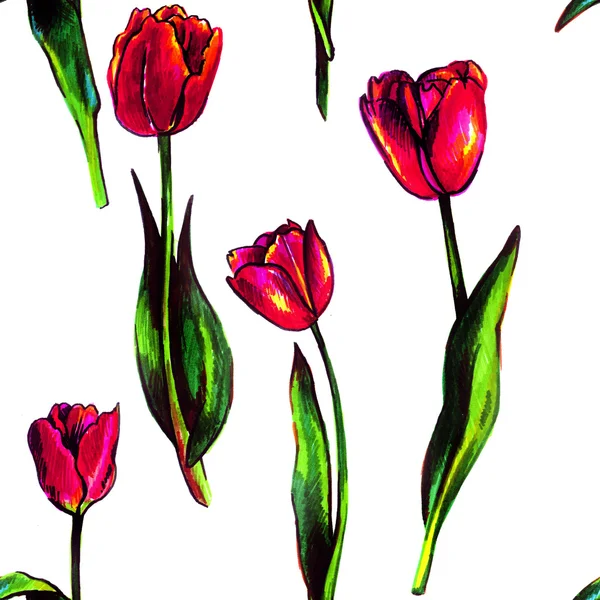 Бесшовный рисунок с тюльпанами — стоковое фото