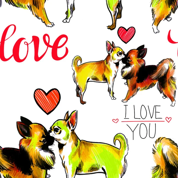 Köpeklerle renkli seamless modeli. Aşk Chihuahua, Valentin